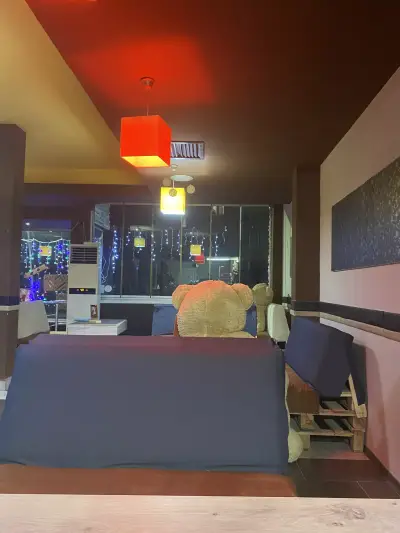Bar area Bear