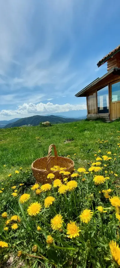 Вила Орцево Vila Ortsevo
