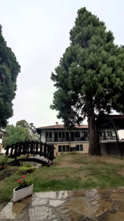 Aura house