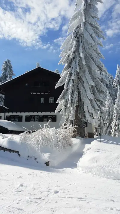 Вила Калиа