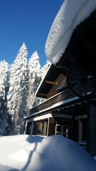 Вила Калиа