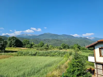Вила Мария, комплекс Александрия