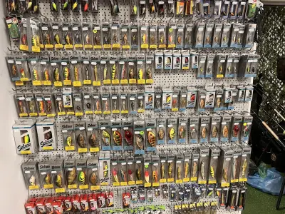 Next Carp Fishing