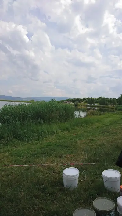 Суки байтс