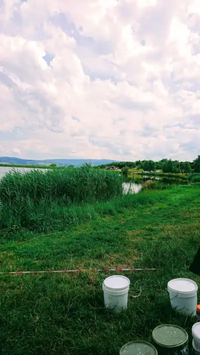 Суки байтс