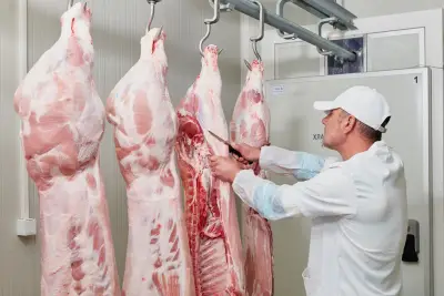 СТИБ - цех за месо, /STIB - meat factory/