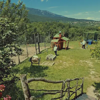 Конна база Wild City