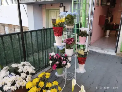 Тони Флауърс