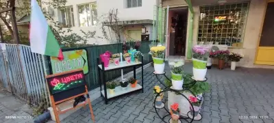 Тони Флауърс