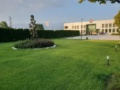 Радиана ООД