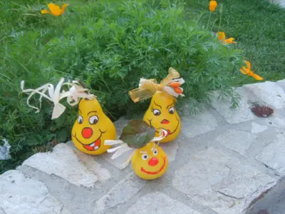 ЧДГ Немо