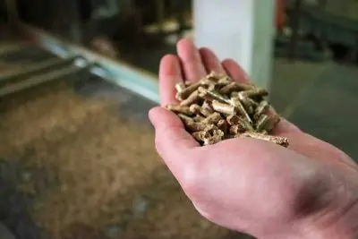 Schneiderpellets