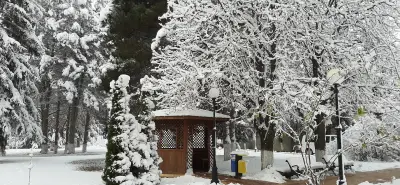 КАОЛИН