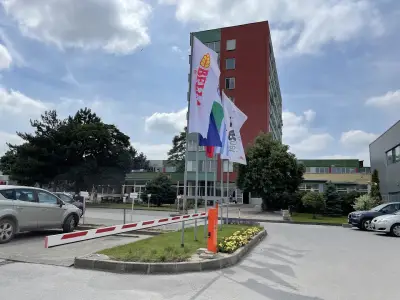 Белла България