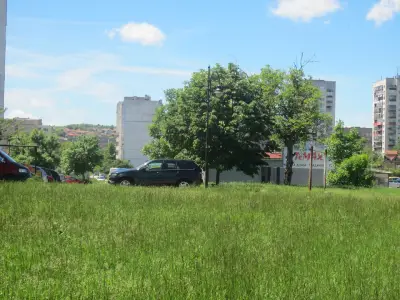 "ДЖУНЛИЕВ" ООД