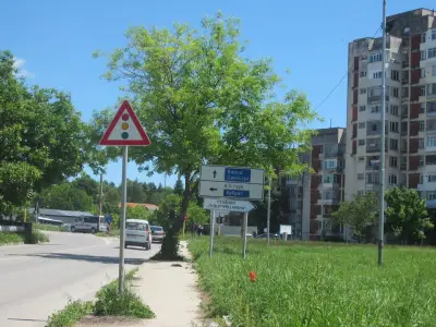 "ДЖУНЛИЕВ" ООД
