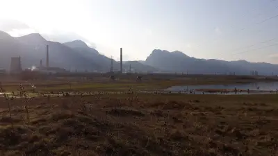 Месер България ЕООД