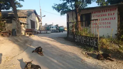 Варомикс ООД