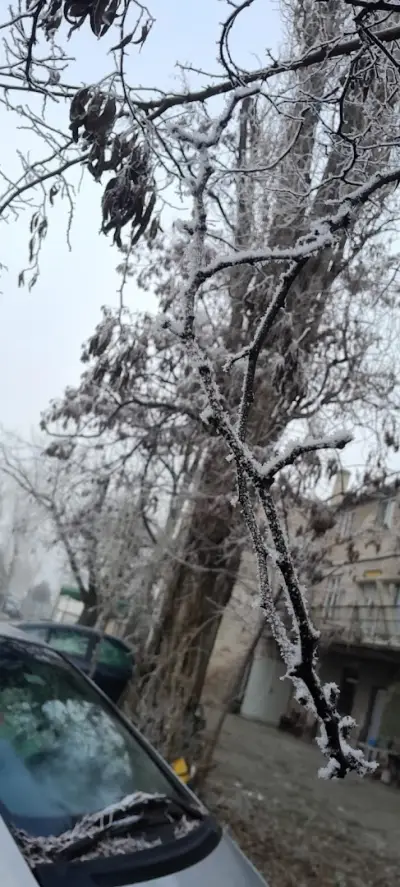 Теразид