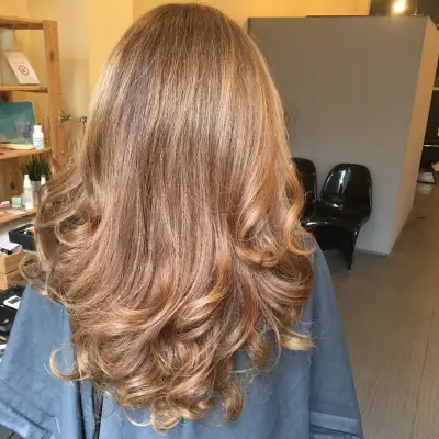 Hair Laboratory