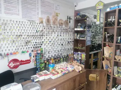 Ключарницата
