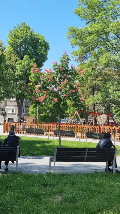 CITY-M.BG TRANSLATION AGENCY/ СТМ АГЕНЦИЯ ЗА ПРЕВОДИ