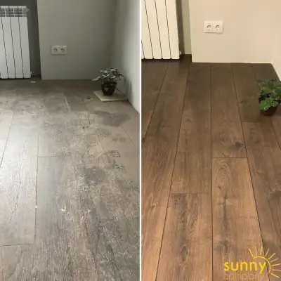 Sunny Company