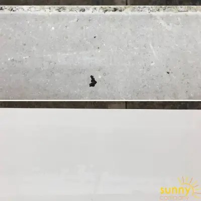 Sunny Company