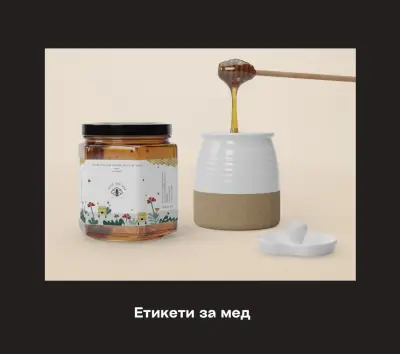 Туда Дизайн