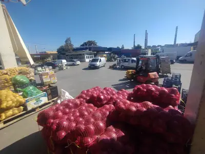 Зеленчукова борса Дружба