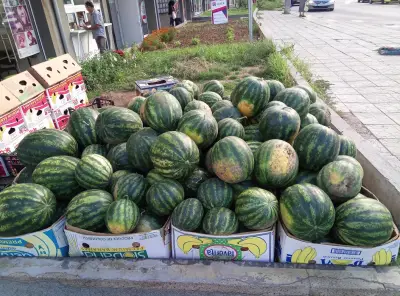Don Tomato - Плодове И Зеленчуци