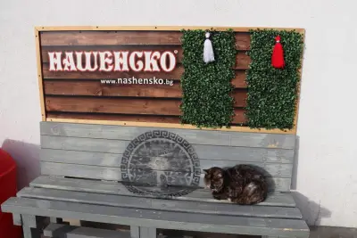 Плодове и зеленчуци Нашенско