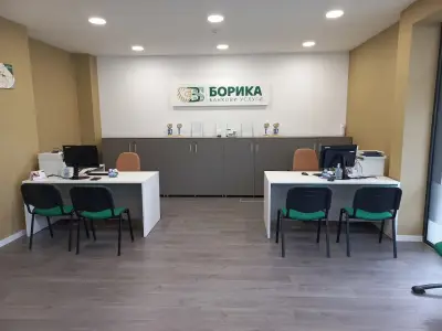 БОРИКА АД