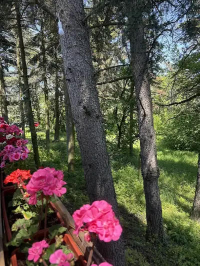 хижа Дружба