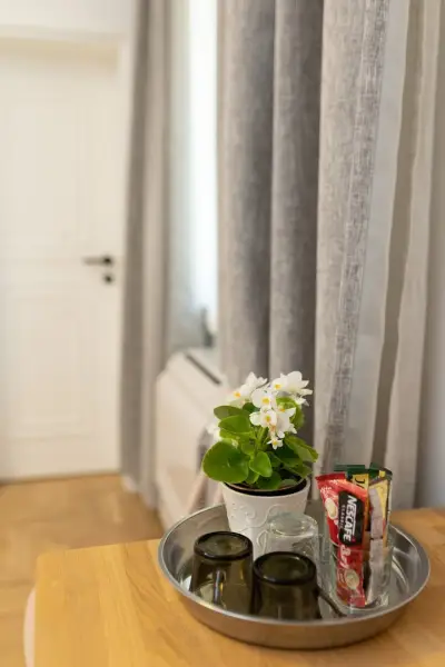 Luxury rooms 12-1