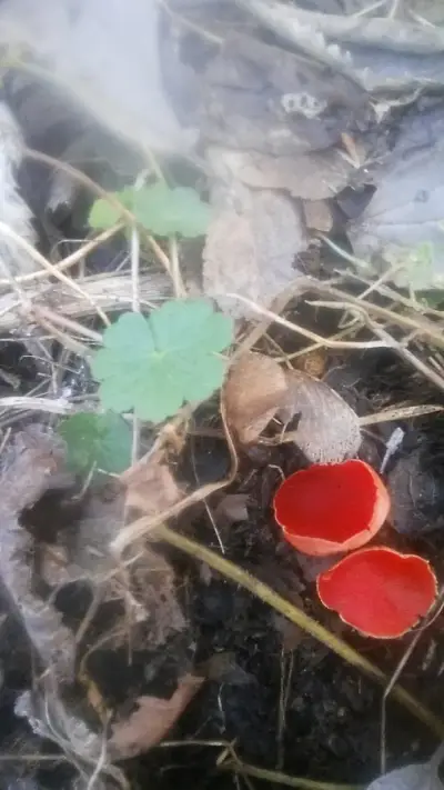 хотелски комплекс Спартак
