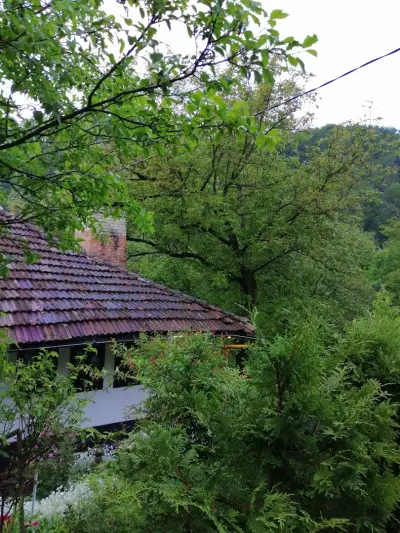 Къщата на Карло