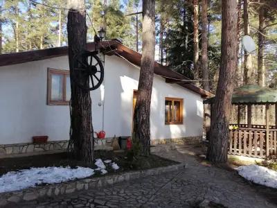 Вили Green