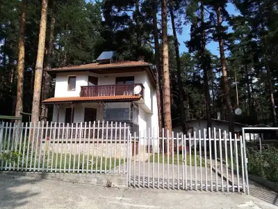 Вили Green