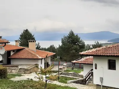 Вили Green