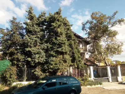 Country house on Stara Planina 26