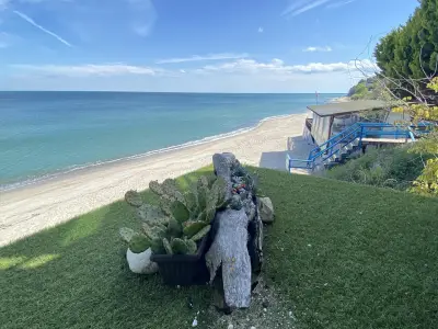 Happy beach