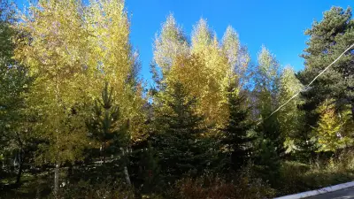 ХОТЕЛ ШАТЕВ