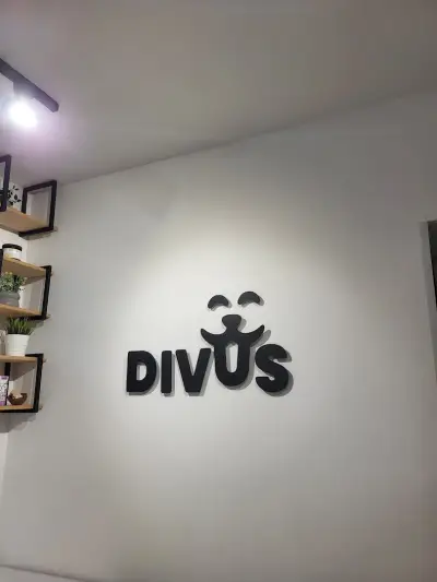Divus Foods - кв. Лозенец, гр. София