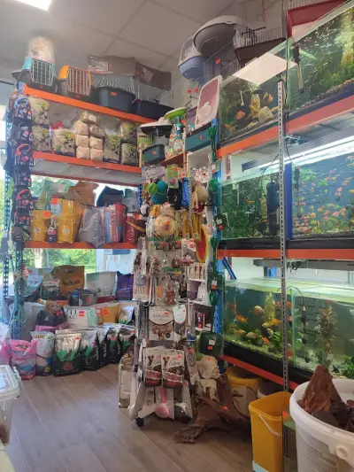 ЗООМАГАЗИН Aqua plants and fish