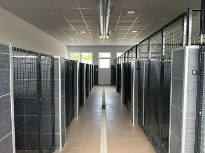 Хотел за Кучета и Котки Вики