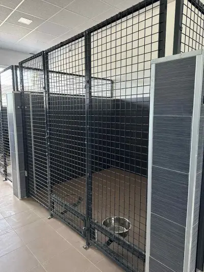 Хотел за Кучета и Котки Вики