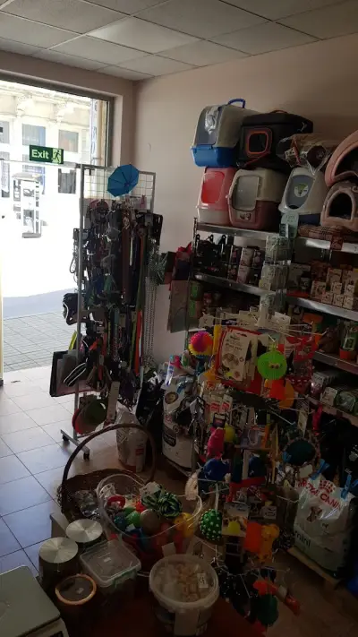 Зоо магазин "Ариес"