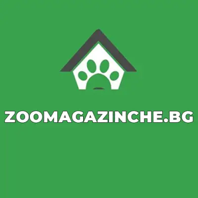 Онлайн Зоомагазин | ZOOMAGAZINCHE