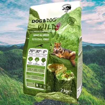Zoolandbg